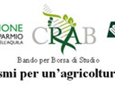 Borsa di studio "Microrganismi per un'agricoltura sostenibile"